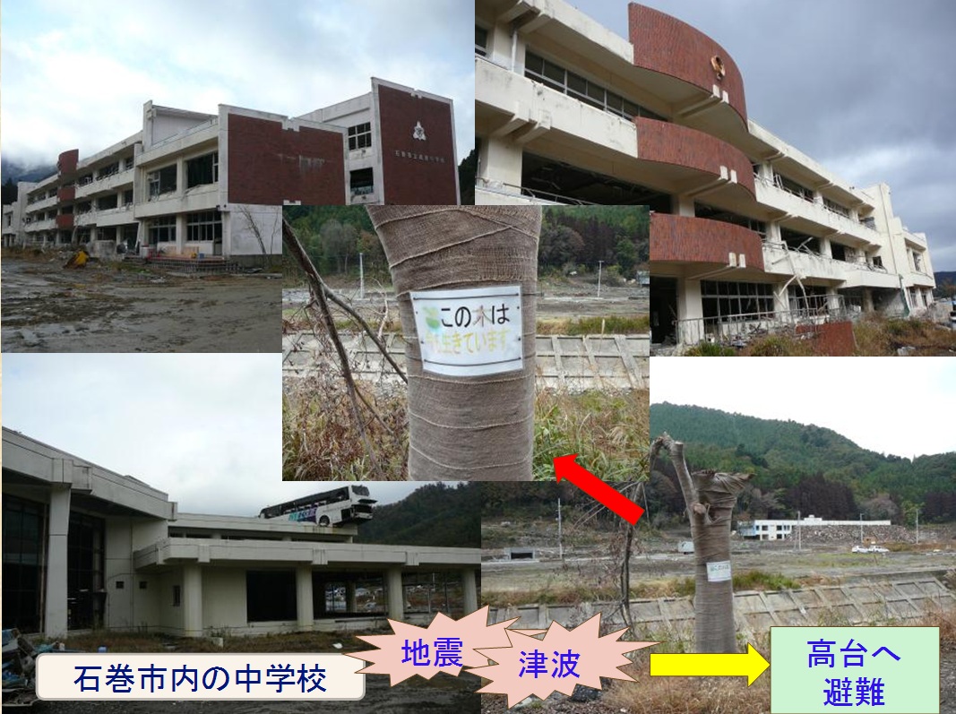 gejyou03s